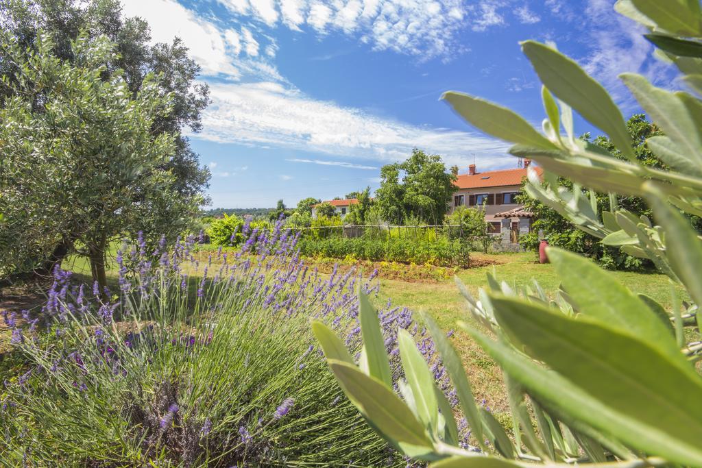 Pula Istria Apartments Eksteriør billede